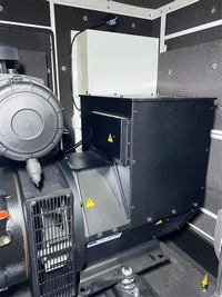 Powered by China Made Perkins Engine