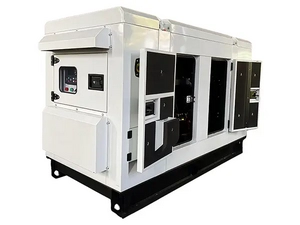 Yangdong Powered Diesel Generators