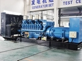 Yuchai MTU Powered Diesel Generators